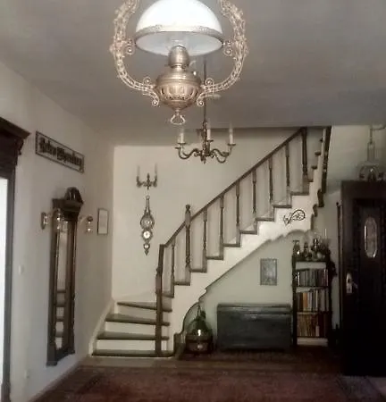 Retro - 19th Century Gasthuis Baltsjik