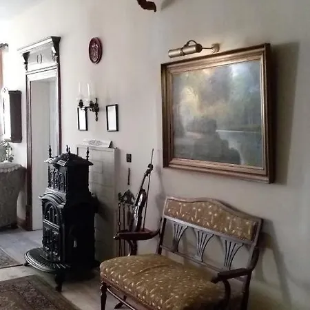 Retro - 19th Century בית הארחה בלצ'יק