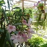 Guest house Gerry 3*