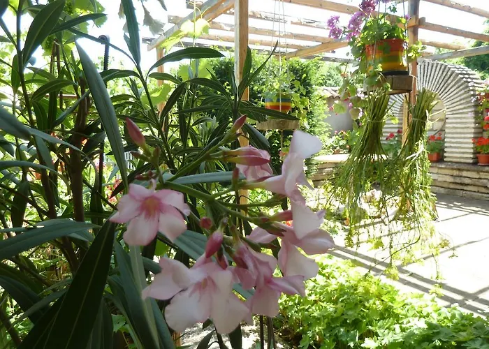 Guest house Gerry 3*